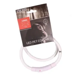 Active Canis, LED Halsband USB, Vit