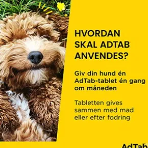 AdTab för hund >22-45 kg, 6 st