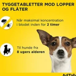 AdTab för hund >1.3-2.5kg, 3 st