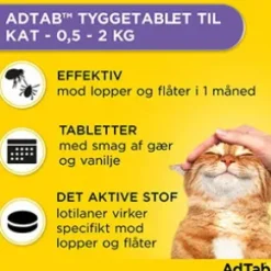 AdTab för katt (><noscript><img width=