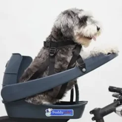 Buddyrider 2, Cykelstol för hundar