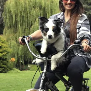 Buddyrider 2, Cykelstol för hundar