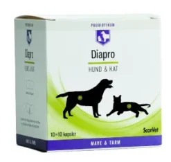 Diapro kapslar 100 st.