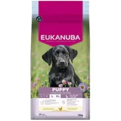 Eukanuba Puppy Large Breed, Chicken