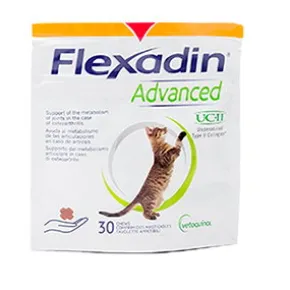 Flexadin Advanced Katt
