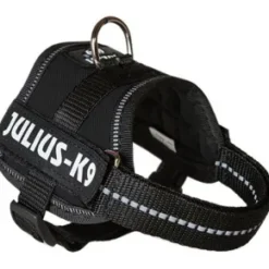 Julius K9 IDC sele, Baby 1