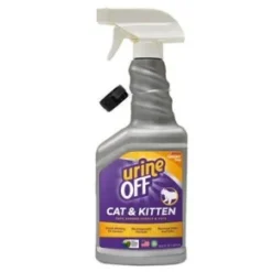 Katter och kattungar
