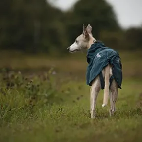 Non-Stop Dogwear Fjord fodrad regnjacka