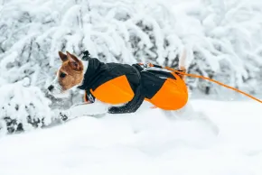 Non-Stop Dogwear, Glacier jacket 3.0, Black/Orange