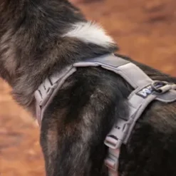 Non-Stop Dogwear Trekking line harness CLIP'N Sand