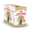 Royal Canin British Shorthair Adult Cat, 12x85g Våtfoder