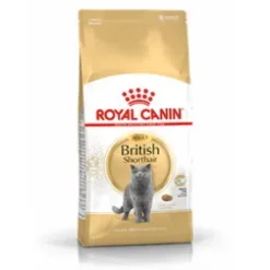Royal Canin British Shorthair Adult Cat