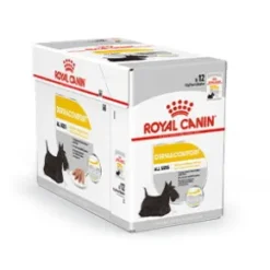 Royal Canin CCN Dermacomfort Loaf 12x85g