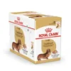 Royal Canin Dachshund Adult 12x85 g, våtfoder