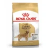 Royal Canin Golden Retriever Adult 12 kg