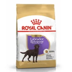 Royal Canin Labrador Retriever Sterilised 12 kg