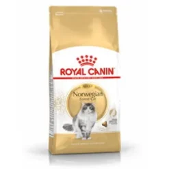 Royal Canin Norwegian Forest Adult Cat