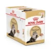 Royal Canin Persian Adult Cat, 12x85g våtfoder