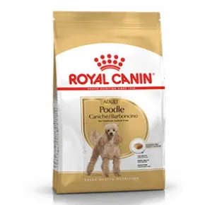 Royal Canin Poodle Adult