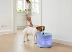 Savic Sensa smart dricksvattenfontän, 2,3 l